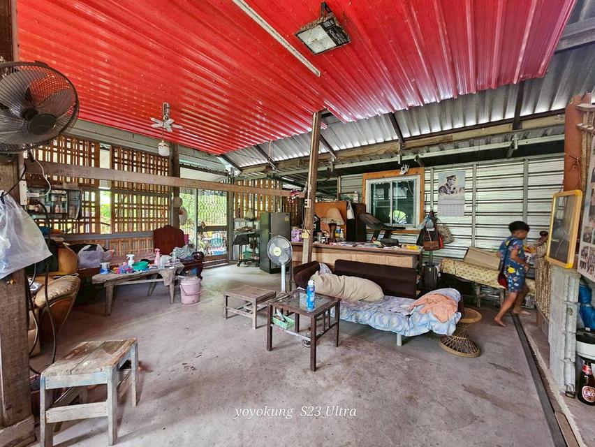 ขายที่ดิน 3-0-80 ไร่ พร้อมสิ่งปลูกสร้าง ติดถนนเลียบคลองขุนศรี ต.ไทรน้อย อ.ไทรน้อย จ.นนทบุรี 9