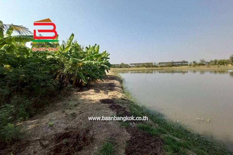 ที่ดิน ซอยโรงหลวง (ใกล้ห้างตะวันออกคอมเพล็กซ์) เนื้อที่ 9 ไร่ 1 งาน 67 ตรว. ตำบลหนองตีนนก อำเภอบ้านโพธิ์ ฉะเชิงเทรา 9