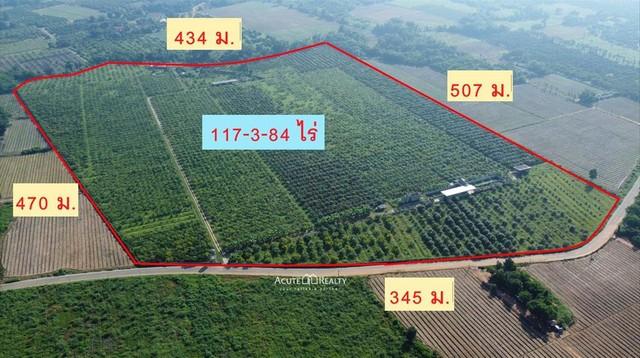 ขายสวนมะม่วง อ.ป่าซาง จ.ลำพูน พร้อมต้นมะม่วง 5,000 ต้น ที่ดิน 117-3-84 ไร่ 4