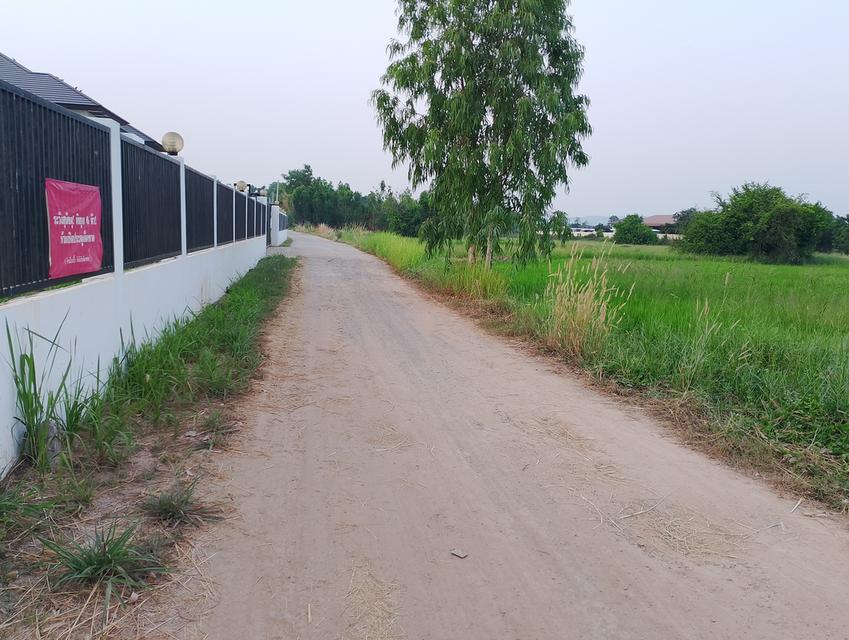 ขายที่ดิน 3