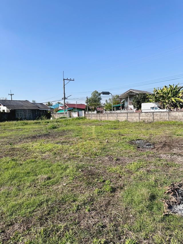 ขายที่ดินติดถนน อ.พาน เชียงราย วิวภูเขา บรรยากาศเงียบสงบ 10