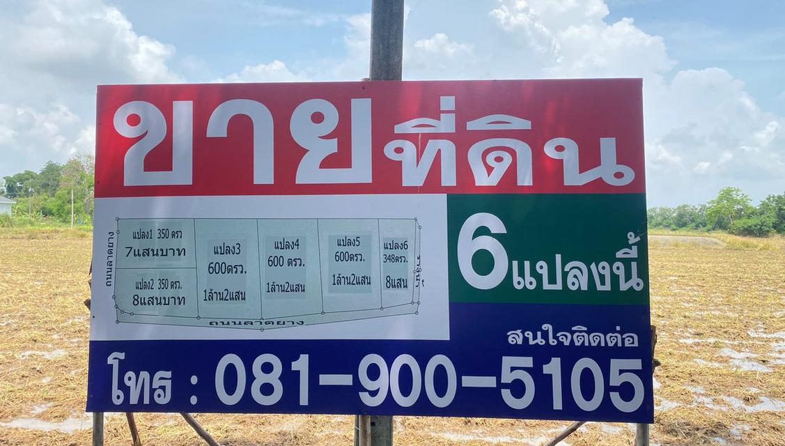 ที่ดินเปล่าแบ่งขาย 6 แปลง 350 - 600 ตารางวา (ซื้อ 2 แปลงขึ้นไป มีส่วนลด) ตำบลคชสิทธิ์ หนองแค สระบุรี 1