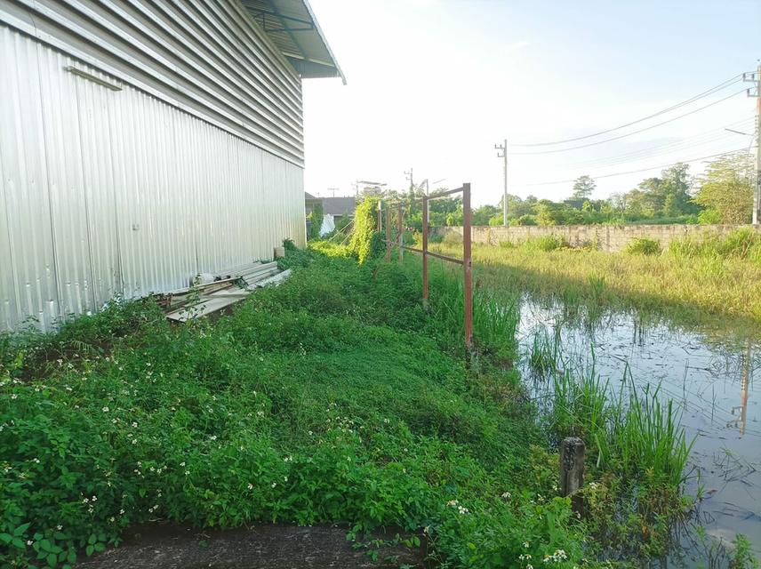 ขายที่ดิน(โรงงานเก่า) ต.แม่คือ อ.ดอยสะเก็ด จ.เชียงใหม่ 6