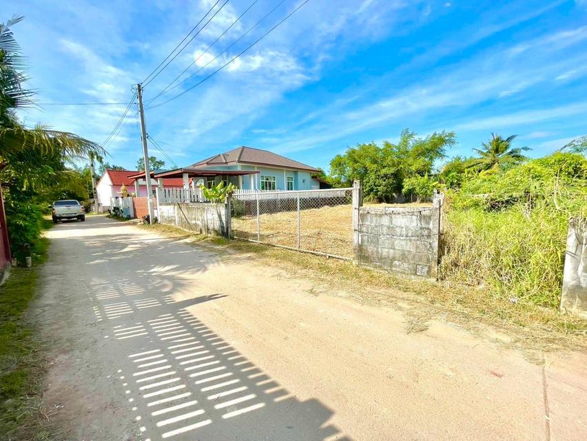 ขายที่ดินตาขัน 100 ตรว. ใกล้แยกบ้านดอนถนนเส้น36-6กม. อ.บ้านค่าย จ.ระยอง 6