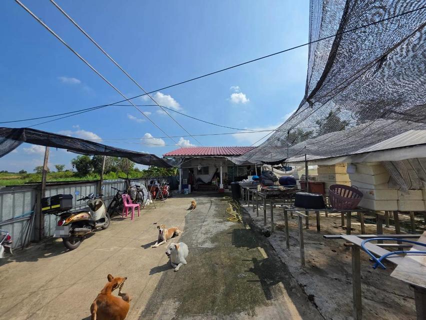 ขายบ้านพร้อมที่ดิน ซอยกรุงเทพเมืองทอง1 ถนนเลียบคลอง5 ตะวันออก 4