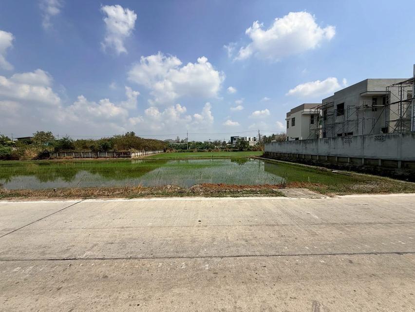 ขายด่วนที่ดิน 367 ตรว ติดถนนคอนกรีตสาธารณะ (แบ่งได้)  ศาลายา อ.พุทธมณฑล จ.นครปฐม 10