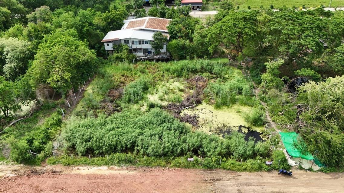 ที่ดินเปล่า 1 ไร่ หนองเพรางาย - ไทรน้อย นนทบุรี ขายถูก