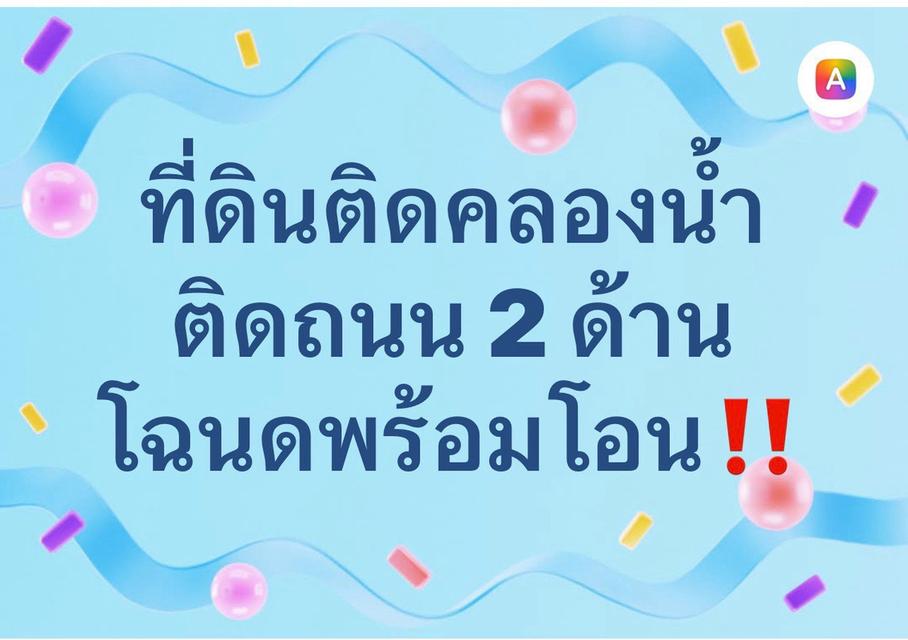 ขายที่ดินตำบลบึงบา อำเภอ หนองเสือ ปทุมธานี 2