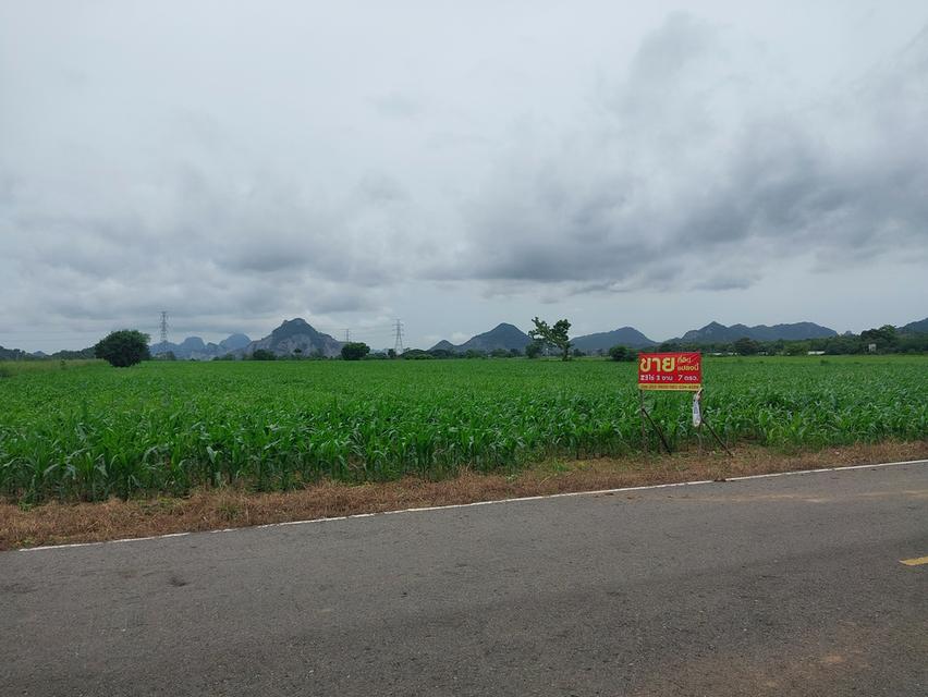 ที่ดิน 3