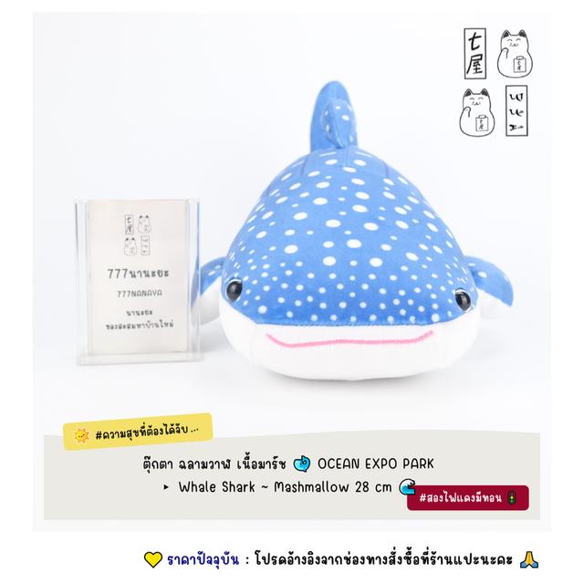 ตุ๊กตา ฉลามวาฬ เนื้อมาร์ช 🐋 Marine Life ~ OCEAN EXPO PARK ▸ Whale Shark Lucky Draw ~ Mashmallow Plush・Standard 28 cm 🌊