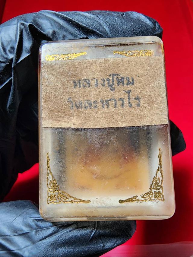 พระขุนแผนผงพราบกุมาร หลวงปู่ทิม 6