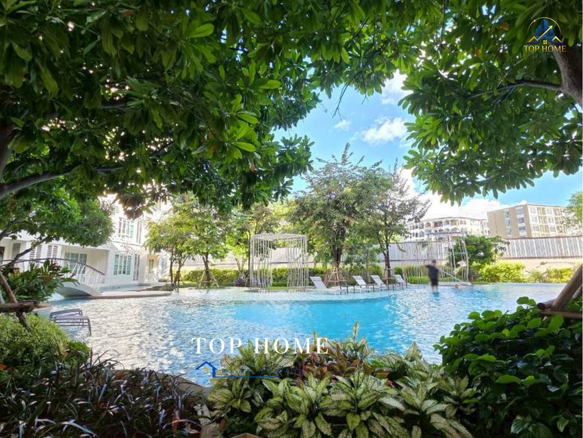 ขายด่วน! คอนโด Summer Hua Hin (หนองแก–เขาตะเกียบ) 4
