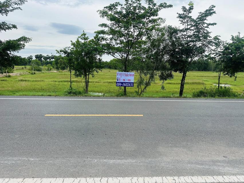 ขายที่ดิน ปราจีนบุรี ประจันตคาม  ราคาถูก  4
