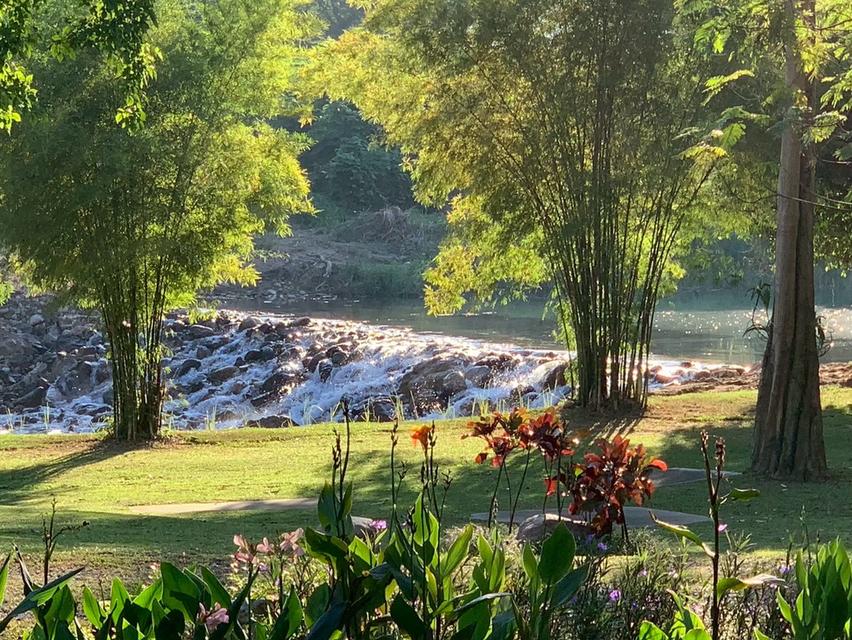 ขายที่ดินพร้อมสิ่งปลูกสร้าง บ้านไม้สักพร้อมสวน 20 ไร่ 2 งาน 59 ตร.ว. ทิศใต้ติดเนินเขา ชะอม แก่งคอย สระบุรี 8