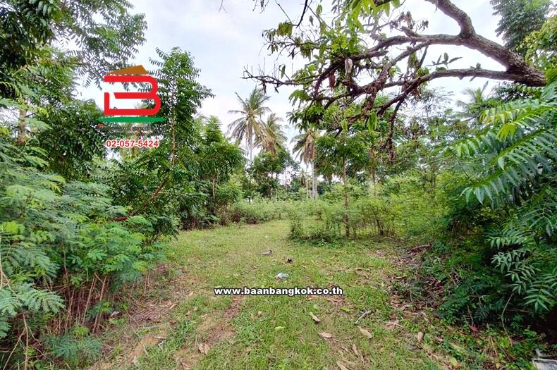 ที่ดินเปล่า ซอยสามร้อยยอด 23 เนื้อที่ 330 ตร.ว (ใกล้หาดสามร้อยยอด) ถนนเพชรเกษม ตำบลสามร้อยยอด อำเภอสามร้อยยอด จังหวัดประจวบคีรีขันธ์ 5