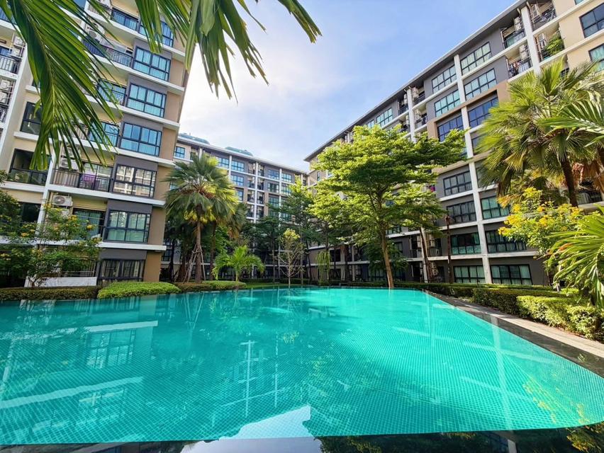 ขายด่วน! คอนโด ฮอลล์มาร์ค งามวงศ์วาน  ห้องสวย สภาพดี บรรยากาศร่มรื่นสไตล์รีสอร์ท ใกล้ทางด่วน เดอะมอลล์งามวงศ์วาน Hallmark Ngamwongwan 17