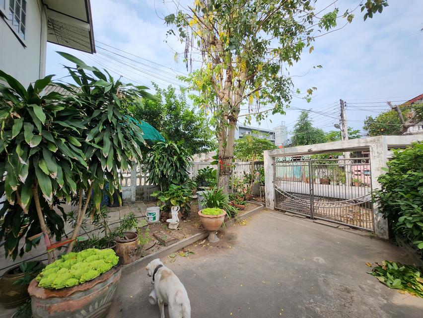 ขายบ้านพร้อมที่ดิน ที่พัทยา โซนนาเกลือ เจ้าของขายเอง  6
