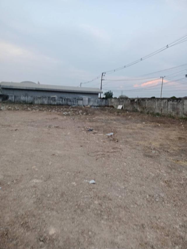 ขายที่ดินเปล่าราคาถูก ที่สวยถมแล้ว 4.5 ไร่ เข้าซอยลำลูกกา 69 (ซอยธารทอง) เป็นถนนทางลัดไปถนนรังสิต-นครนายก ใกล้สถานีรถไฟฟ้าลำลูกกา 4