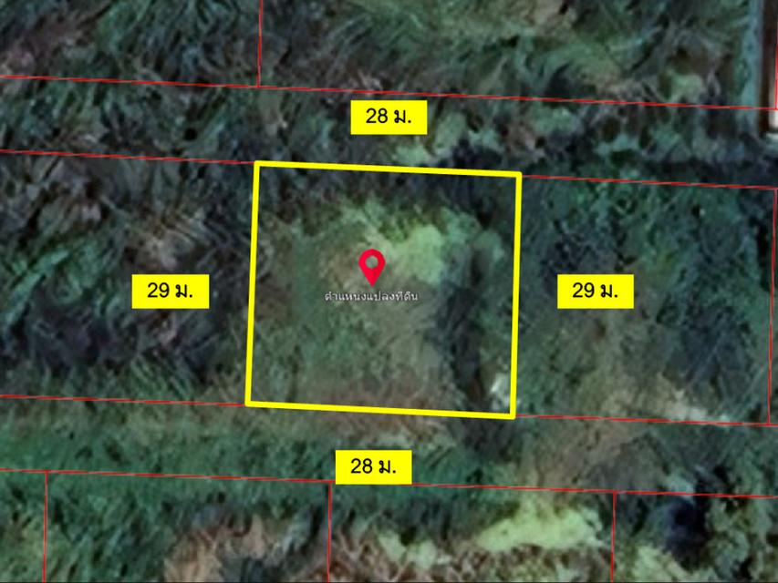 ขายที่ดิน ลำลูกกา คลองสอง 200 ตร.วา. ซอยผู้ใหญ่กำนัน หน้ากว้าง 28 ม. เหมาะปลูกบ้าน ใกล้เทศบาลลำสามแก้ว 2