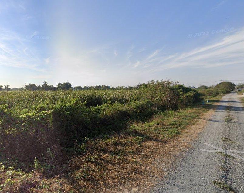 ขายที่ดินหนามแดง 1 ไร่ ใกล้ถนนวงแหวนตัดใหม่365-4กม. เมืองฉะเชิงเทรา