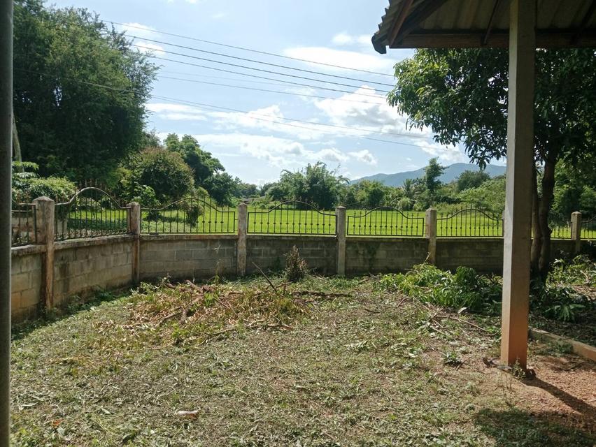 ที่ดิน ตำบลป่าสัก อำเภอวังชิ้น จังหวัดแพร่ 4