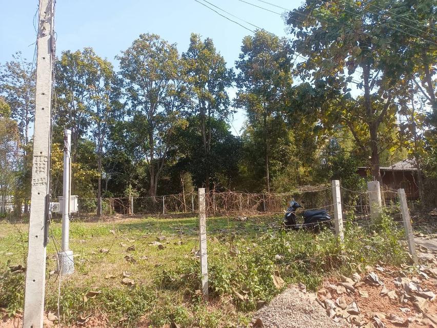 ขายที่ดินเปล่า  1  งาน  ต.ท่าวังทอง เมืองพะเยา 4