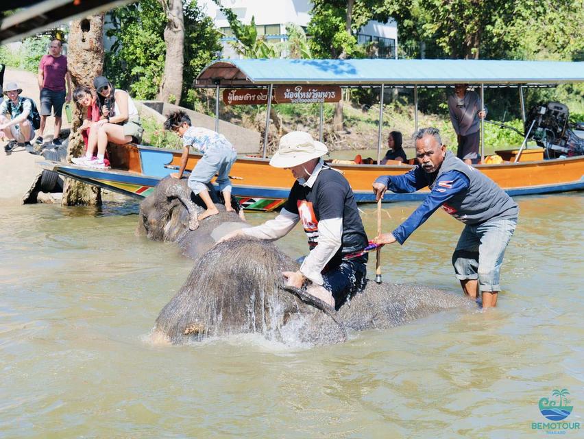 โปรแกรม AY224 ทัวร์อยุธยา One day trip by Bemotour นักท่องเที่ยวไทย : ท่านละ 1,500 บาท