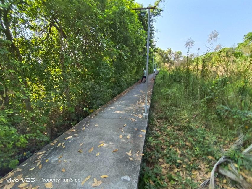 ขายที่ดินเปล่า ไม่มีสิ่งปลูกสร้าง เกาะเกร็ด ที่ดิน 7 ไร่ 1 งาน 13 ตารางวา 8