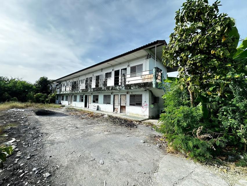 ขายด่วน  ที่ดิน  100 ตรว.พร้อมอาคารห้องเช่า 2 ชั้น 16 ห้อง 3