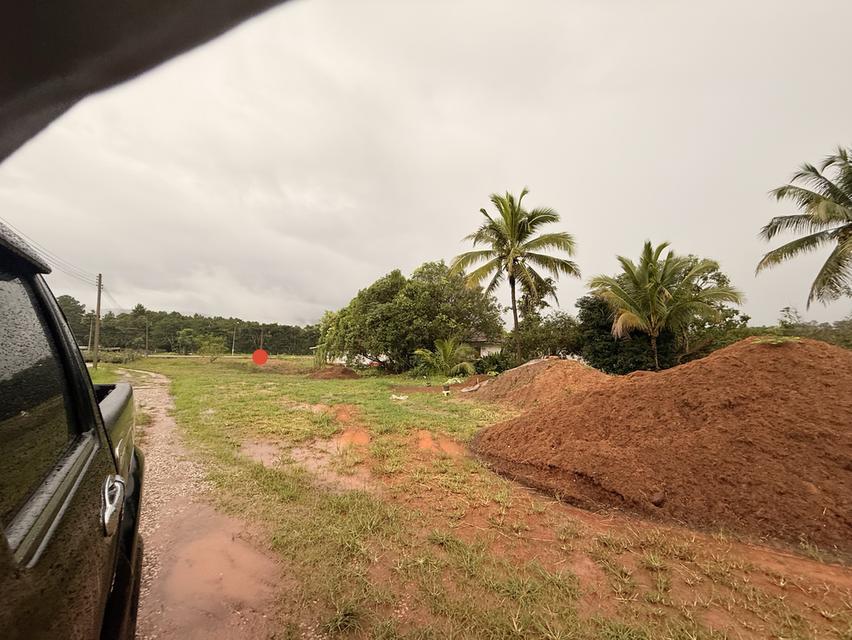 ที่ดิน อ.ภูเรือ จ.เลย 2 ไร่ 5