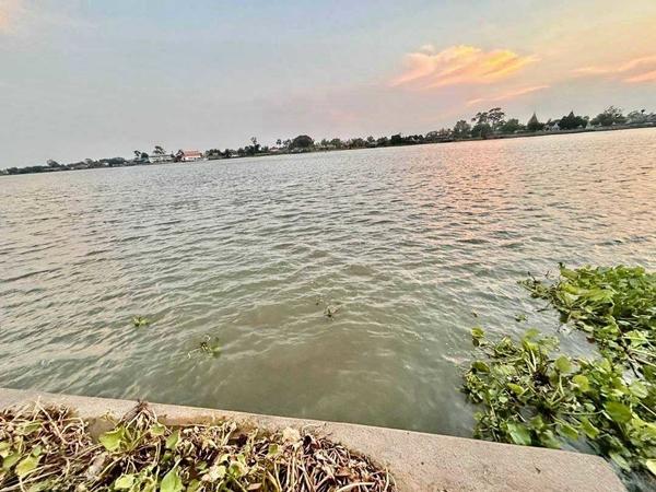 L895 ขายที่ดินริมน้ำเจ้าพระยา สามโคก ปทุมธานี 582 ตร.ว สร้างเขื่อนแล้ว ถมแล้ว ติดถนน ใกล้รถไฟฟ้า ราคาพิเศษ 26,890,000 บาท 5