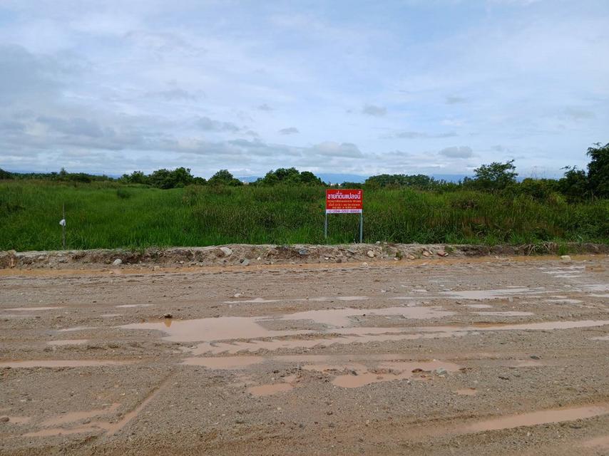 ที่ดินแนวโครงการก่อสร้างถนนวงแหวนรอบเมืองนครศรีธรรมราช ส่วนต่อขยายถนนเฉลิมพระเกียรติ ช่วงแยกไทวัสดุ 1