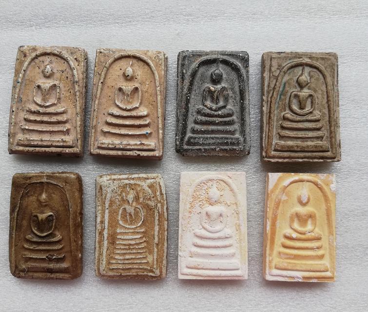 สมเด็จหลังตราแผ่นดิน เกศไชโย วัดชลอ