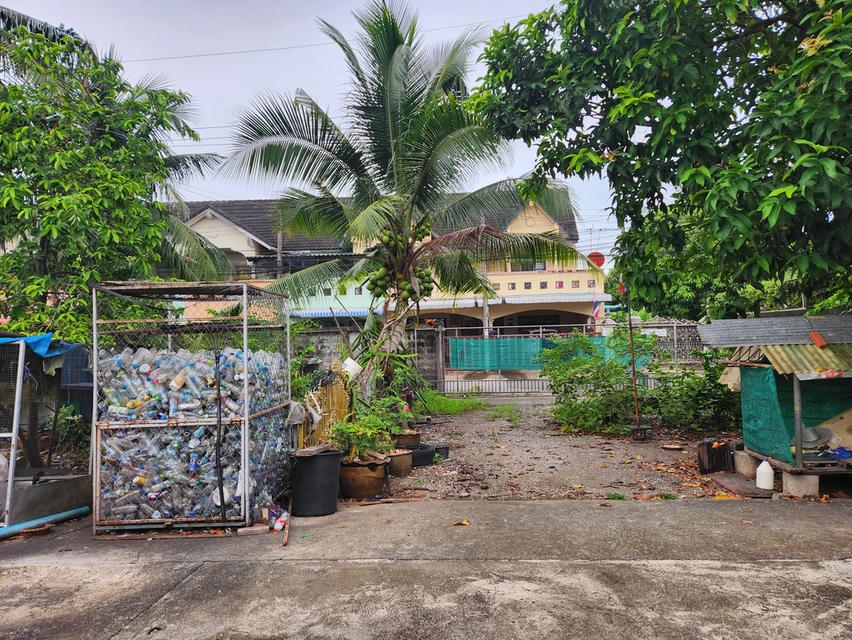 ขายด่วน !!! ที่ดินพร้อมสิ่งปลูกสร้าง อ.เมือง จ.สุราษฎร์ธานี 3