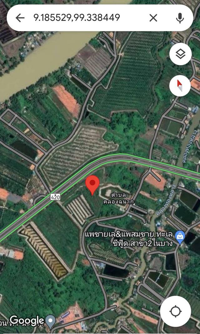 ที่ดิน อ.เมืองสุราษฎร์ธานี 6 ไร่ 2 งาน (เจ้าของขายเอง) 4