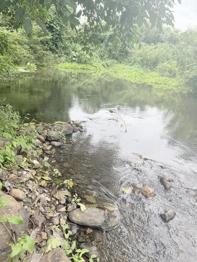 ที่ดินติดน้ำ ติดถนนลาดยาง ภูเขาล้อม หนองหญ้าปล้องเพชรบุรี 2