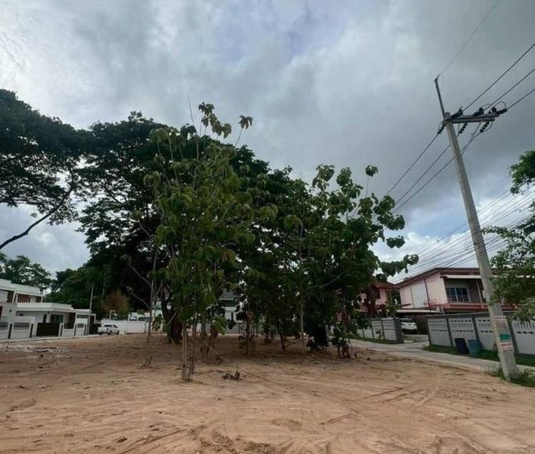 ขายที่ดินถมแล้วหนองปรือ 1 ไร่ แปลงหัวมุมติดถ.ซอยชัยพฤกษ์1 ใกล้หาดจอมเทียน-1กม. จ.ชลบุรี