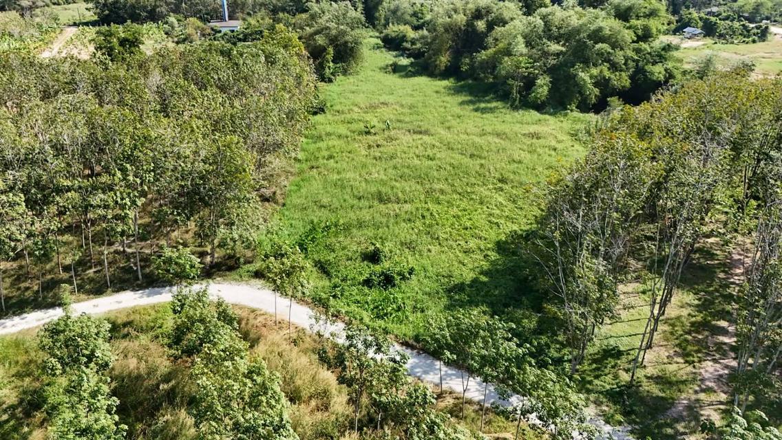 ขายที่ดินเปล่า 4-2-50 ไร่ ทำเลศักยภาพ ติดคลองกระเฉท น้ำไหลตลอดปี ใกล้นิคมอุตสาหกรรม ต.มาบข่า ระยอง 6