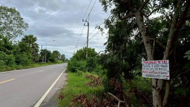 ขายที่ดิน 115 ตารางวา ถมแล้ว ติดถนนโยธาธิการ ตำบลหนองจอก อำเภอท่ายาง จังหวัดเพชรบุรี 3