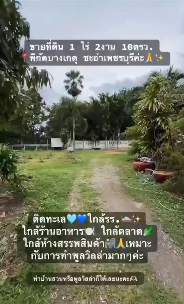 ที่ดินใกล้ทะเลชะอำ เหมาะกับทำพูลวิลล่า ร้านอาหาร 3