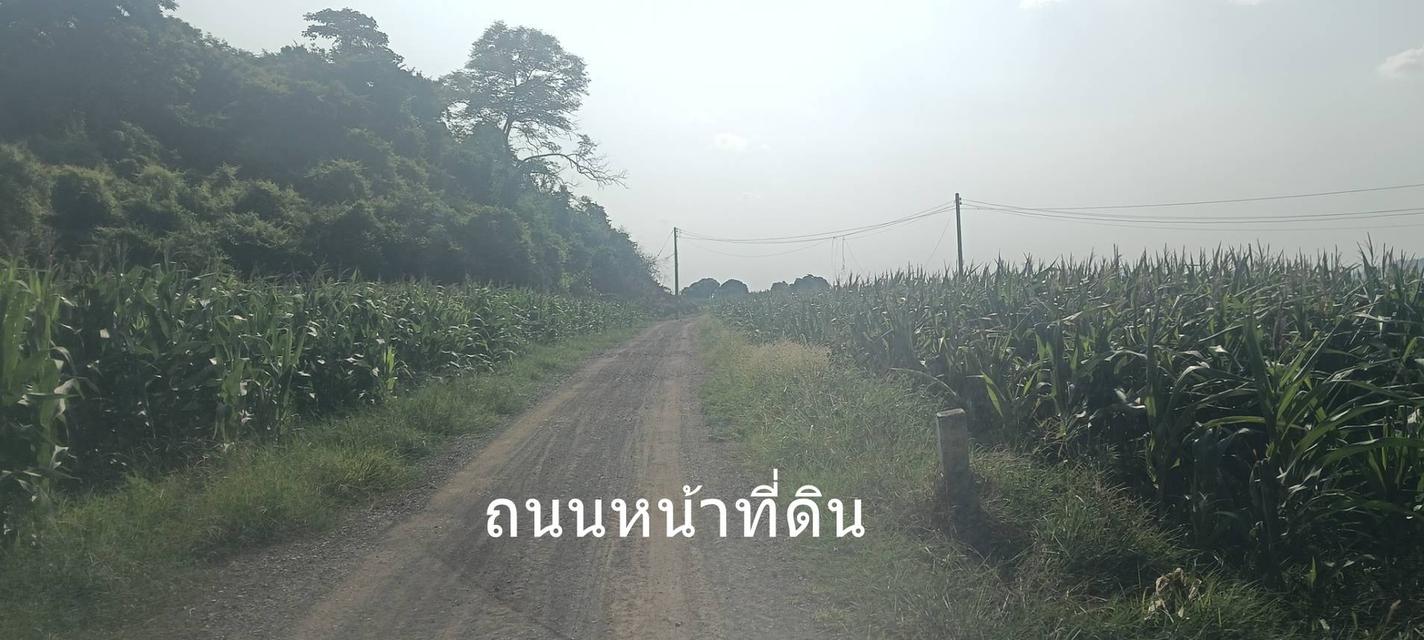 ขายที่ดิน 8 ไร่ อ.พระพุทธบาท สระบุรี ไร่ละ 3 แสน 6