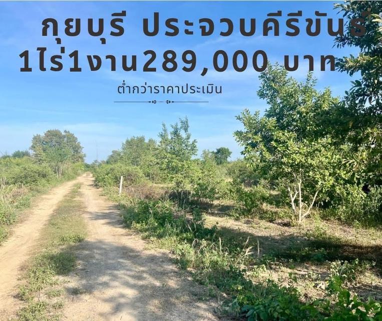 ที่ดิน กุยบุรี ประจวบคีรีขันธ์ ขนาด 1 ไร่ 1 งาน 289,000 บาท