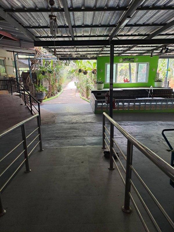 ขายบ้านเดี่ยว 1 ชั้น หมู่บ้านหนองสรวง อ.ศรีประจันต์ สุพรรณบุรี ใกล้โรงเรียน โรงพยาบาล ตลาด โทร 0869220218 15