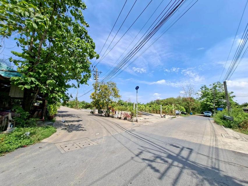 ขายบ้านชั้นเดียว ซอยพหลโยธิน54/1 แยก8-4-3 ซอยตาลเดี่ยว 2