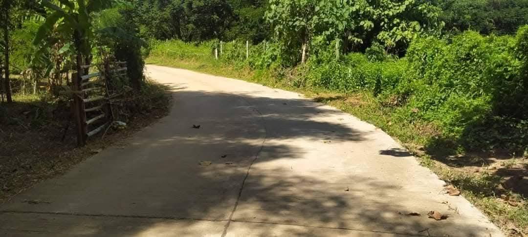 ที่โฉนด ขนาด110มีตรว ราคา280,000ห่าง7-11เพียง1โล  ไฟฟ้าถึงหน้ากว้างติดถนนคอนกรีต17เมตร ด้านในมีต้นไผ่ ขนุน,น้อยหน่า,มะม่วง,กล้วย ต้นสัก,ตะไคร้ 4