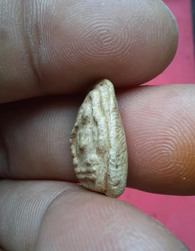 พระสังกัจจายน์ข้า เม็ดหลวงปู่ภูวัดอินทร์ รูปที่ 4