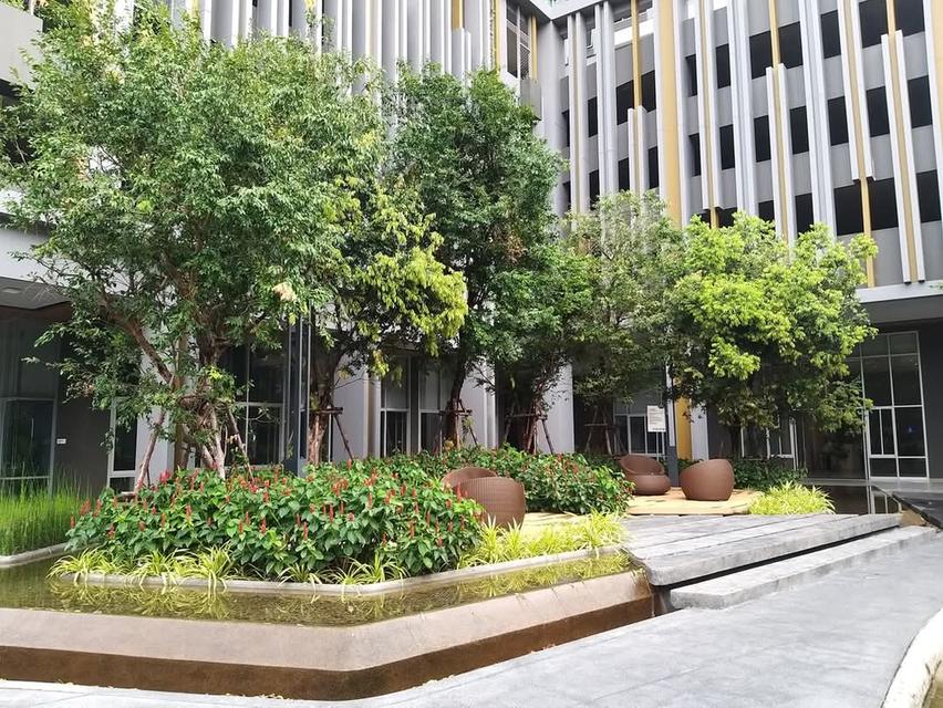 คอนโด ริเวอร์ไรน์ พระราม 3 12