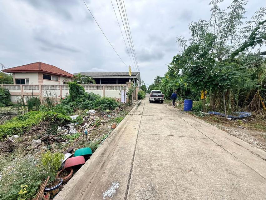 ขายด่วนที่ดินตลาดใหญ่ลำลูกกา 100 ตรว ติดถนนคอนกรีต ซ.เทศบาล 17 ลำลูกกา ปทุมธานี 9