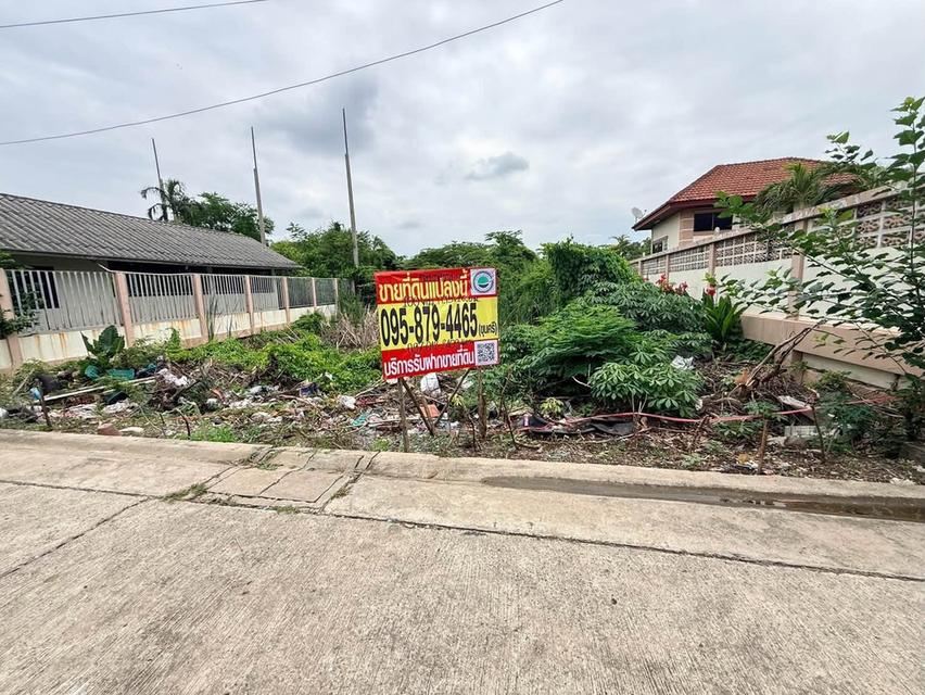 ขายด่วนที่ดินตลาดใหญ่ลำลูกกา 100 ตรว ติดถนนคอนกรีต ซ.เทศบาล 17 ลำลูกกา ปทุมธานี 2