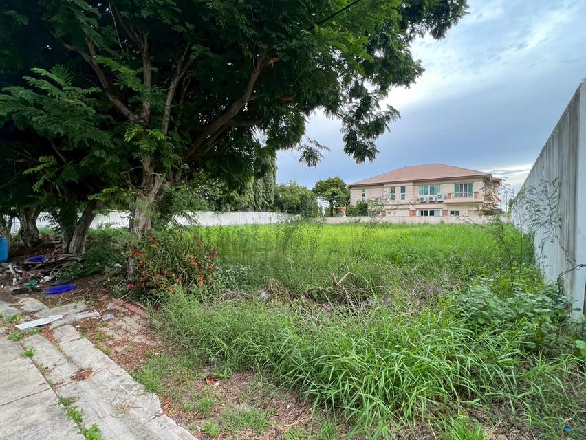 ขายที่ดินเปล่าถมแล้ว หมู่บ้านกรีนวัลเล่ย์ บางนา-ตราด กม.15 แปลงสวย ทำเลดี พร้อมสร้างบ้าน 6